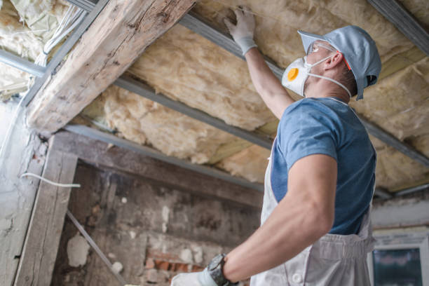 Best Specialty Insulation in Brighton, MI