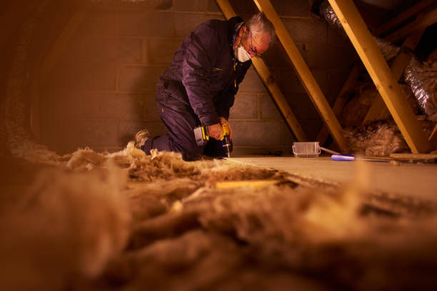 Best Residential Insulation in Brighton, MI